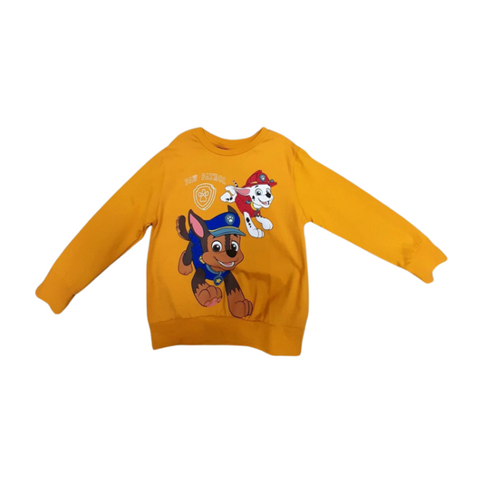 Cute Puppies Jumper for 3 to 5 years